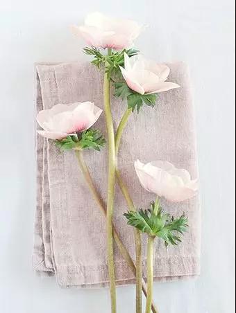 1580821716372655.jpg 333.jpg