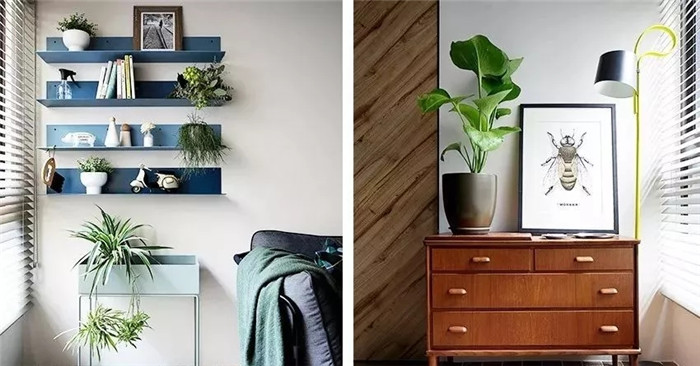 1586829276920621.jpg 5.webp.jpg