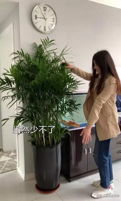 1556246937639064.jpg 5.jpg