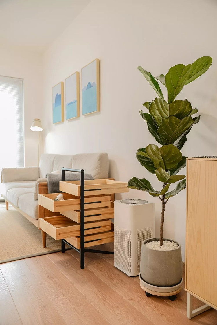 1560669539345373.jpg 4.webp.jpg